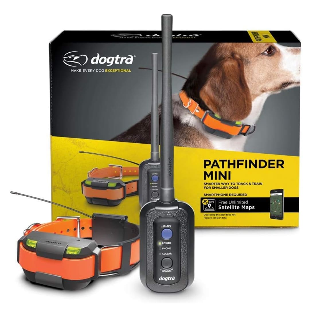 60366917-1.jpg Dogtra Pathfinder mini — изображение 1
